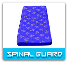 spinal